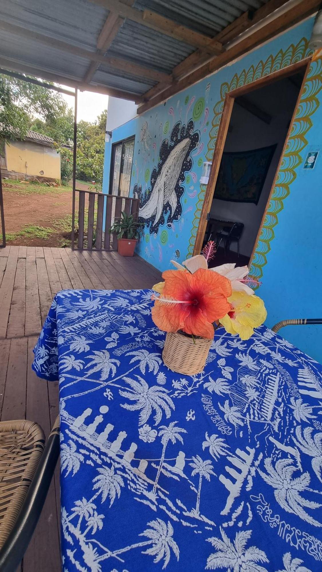 Cabanas Henua Roa Hanga Roa Zimmer foto